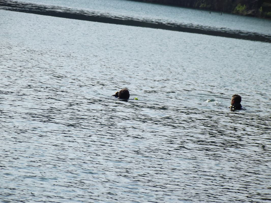 Two divers engaged in training dialogue.