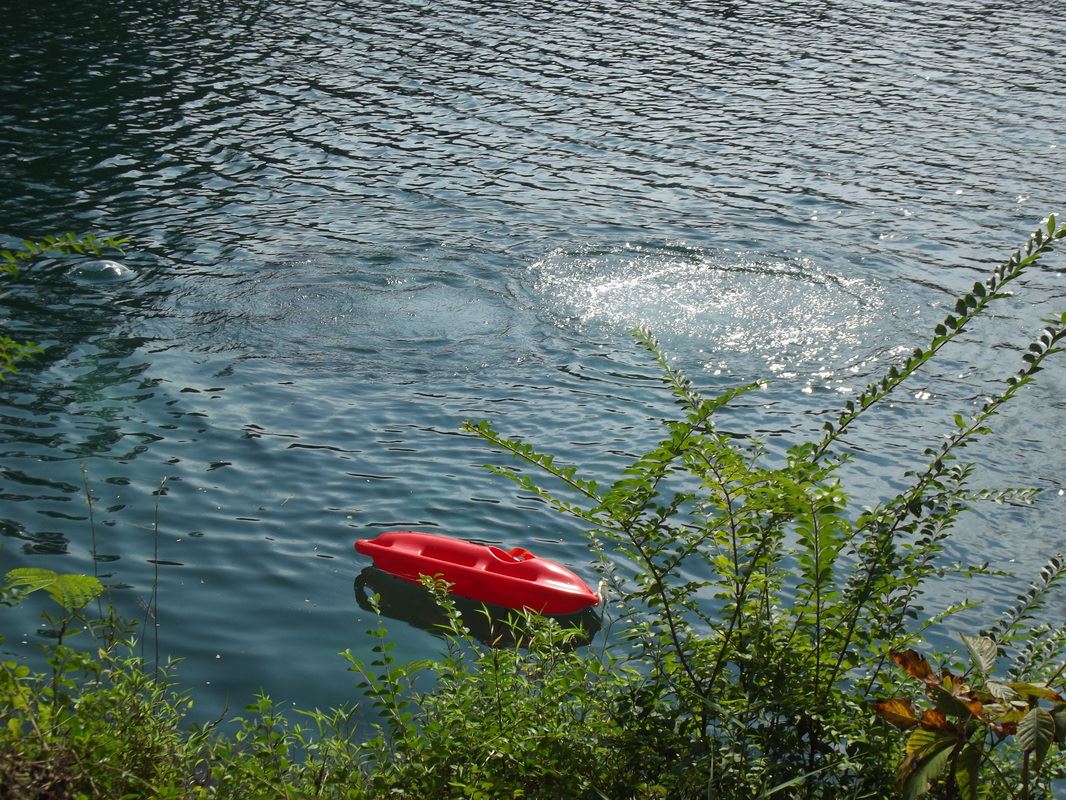 Diver Diving Deep Inside Lake