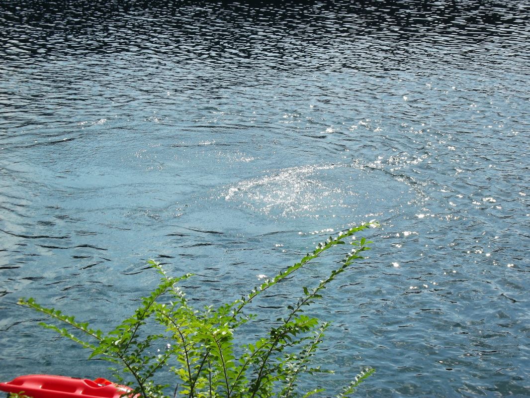 Diver Diving Deep down the Lake