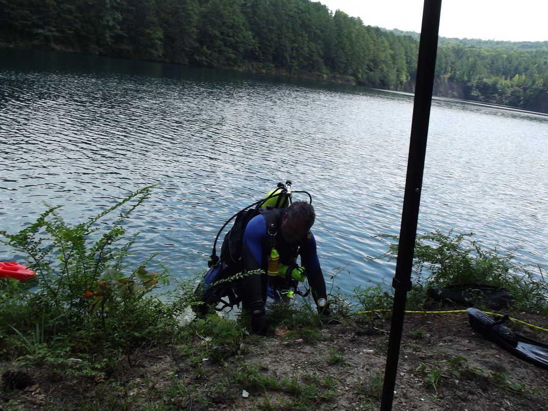 Diver Returning to the Bank of the River