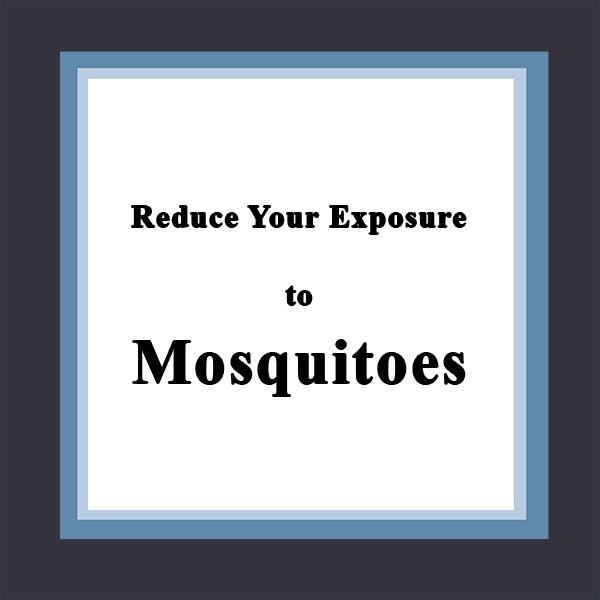 Reduce Your Exposure to Mosquitos